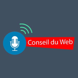 logo conseil du web